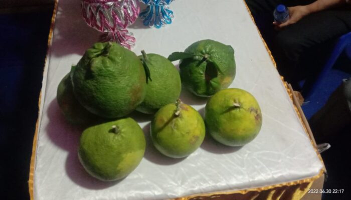 Kecamatan Kambowa Pamer Jeruk Sunkist Hijau dan Kerajinan Tangan di HUT Buton Utara