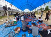 Yayasan Mutiara Ummat Kendari Sembelih 42 Hewan Kurban