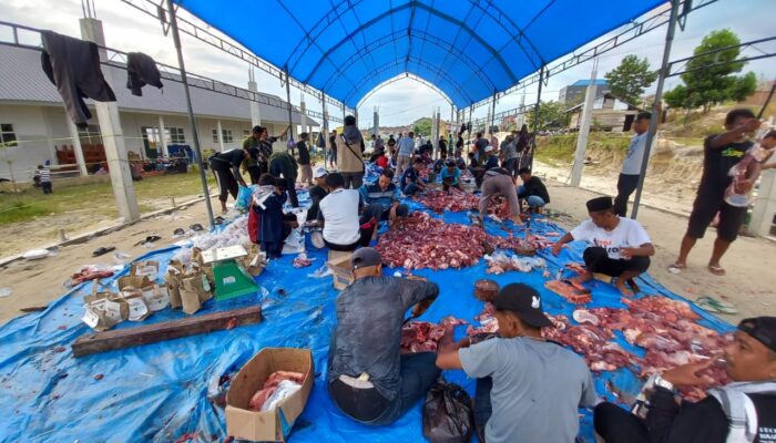Yayasan Mutiara Ummat Kendari Sembelih 42 Hewan Kurban