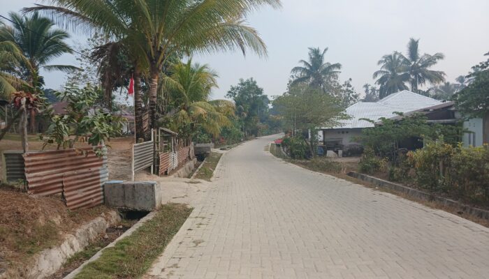 Warga Konda Konawe Selatan Masih Kesulitan Akses Wi-Fi, Usulan Tiang Jaringan Belum Terealisasi